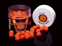 reflex tropical fruit